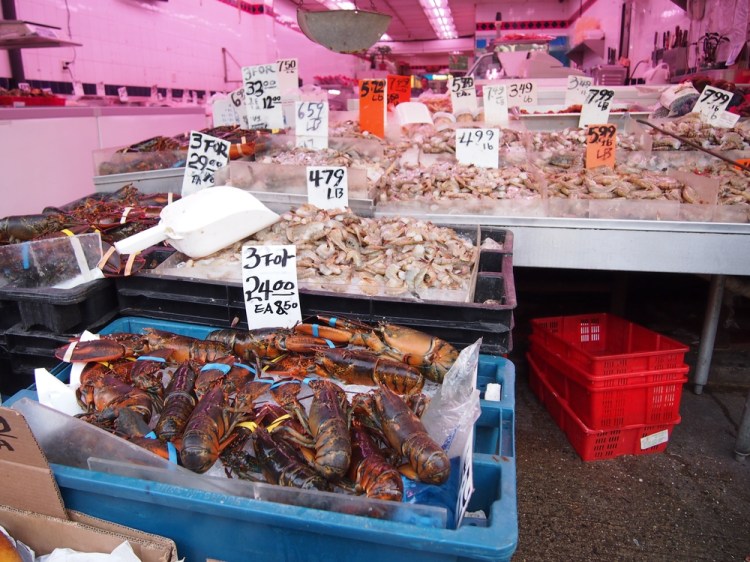 auringonallaP6264764