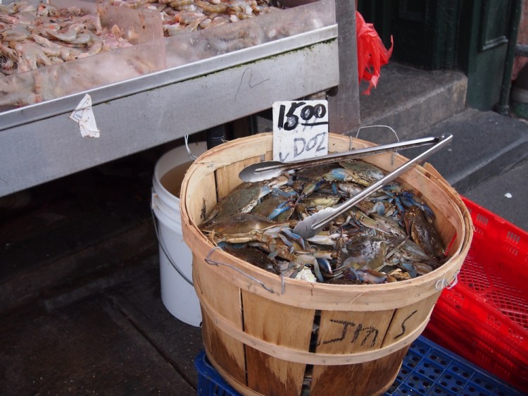 auringonallaP6264766