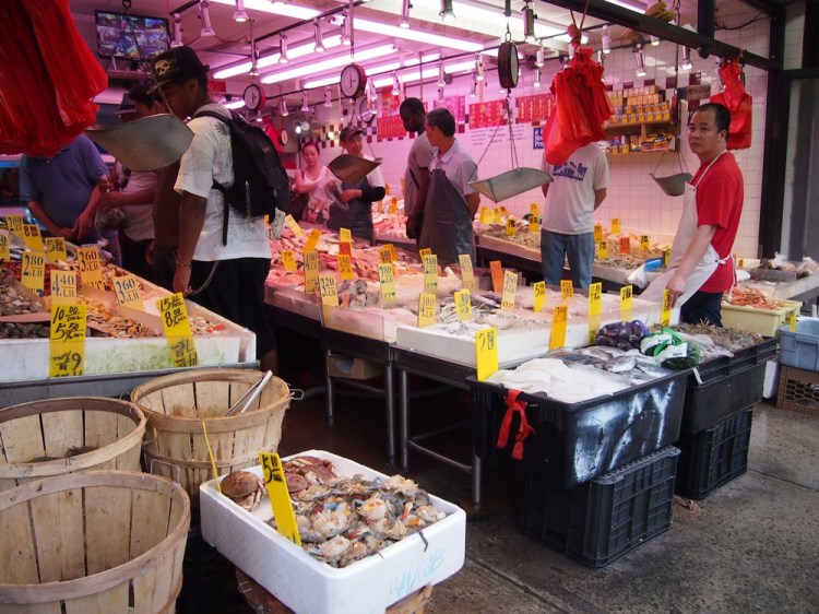 auringonallaP6264767