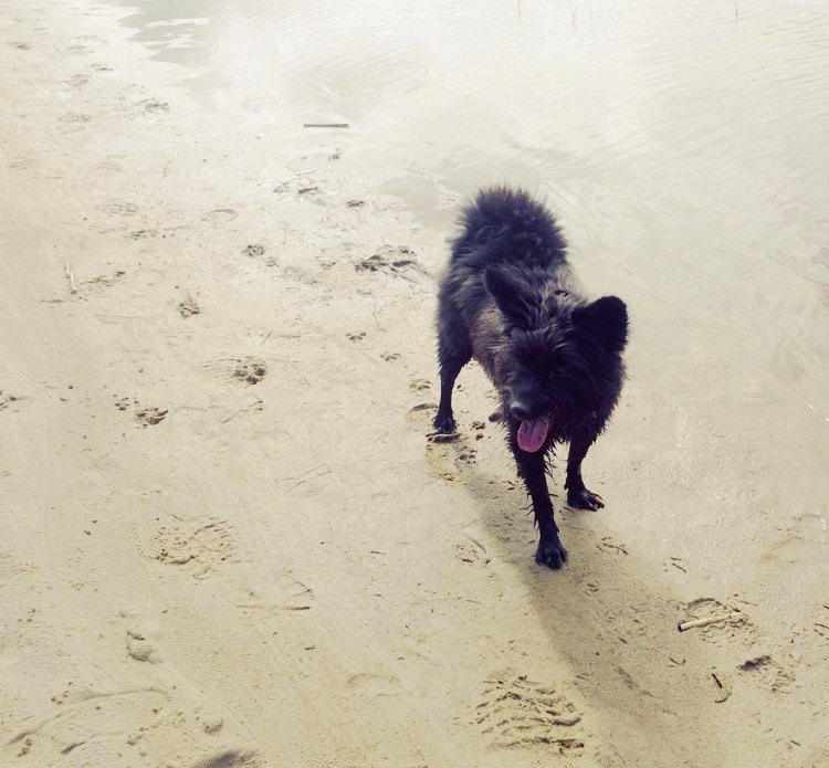 WP_20130721_08220130725081815