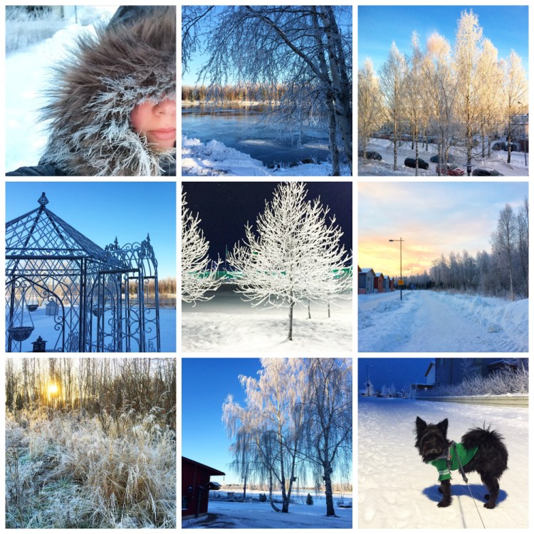 Suomi_Winterwonderland