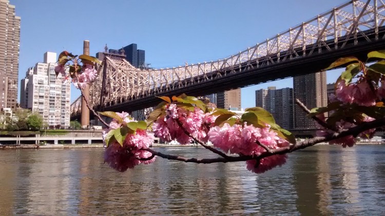 IMG_20140511_165604417