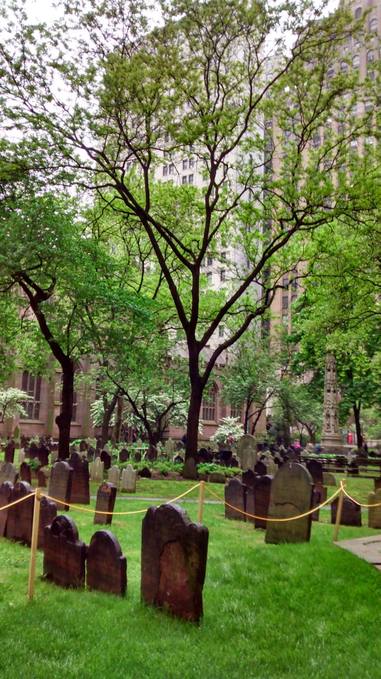 IMG_20140515_112409737_HDR