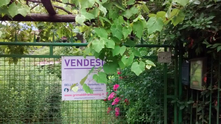 IMG_20140707_175557281