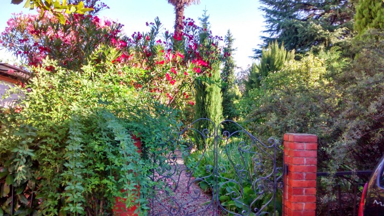 IMG_20140709_075728205_HDR