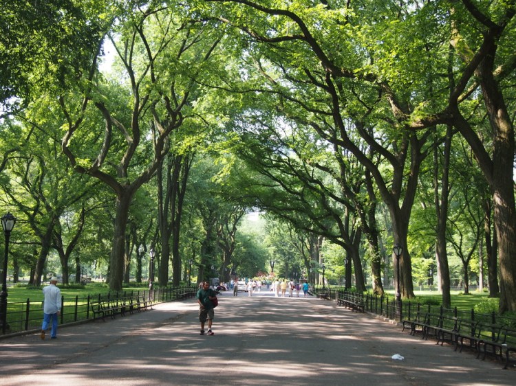 auringonallaP6254629