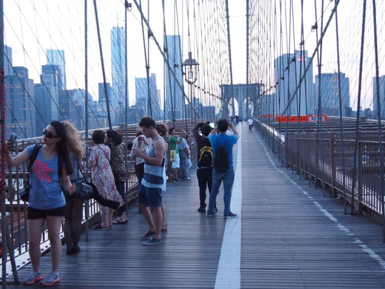 auringonallaauringonallaP6264804