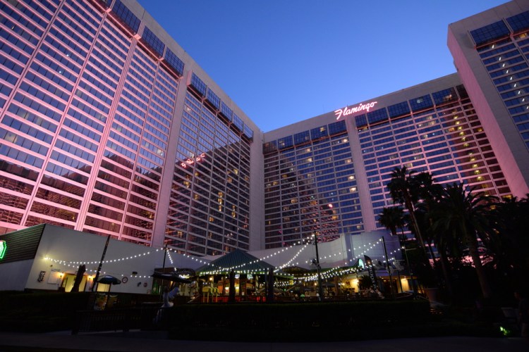 auringonallaDSC_9800