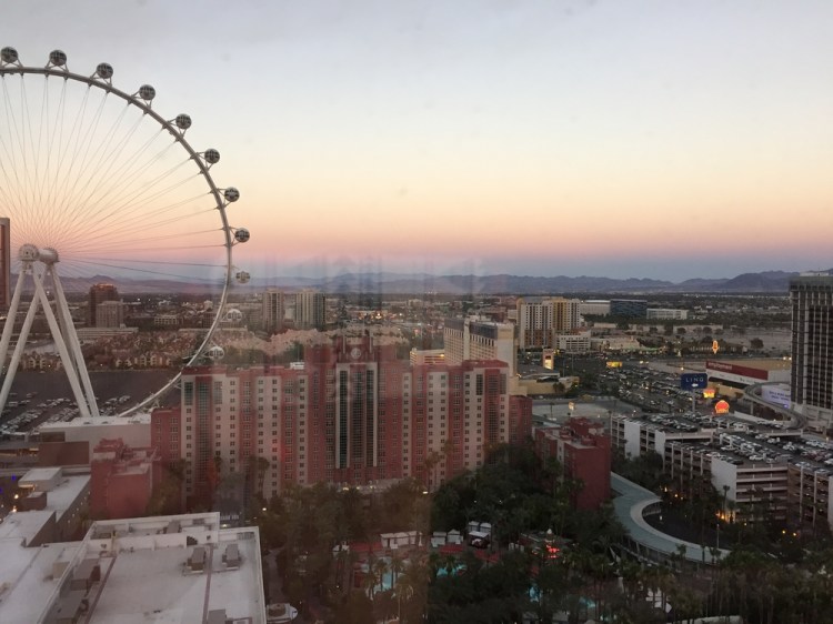 auringonallaIMG_2827