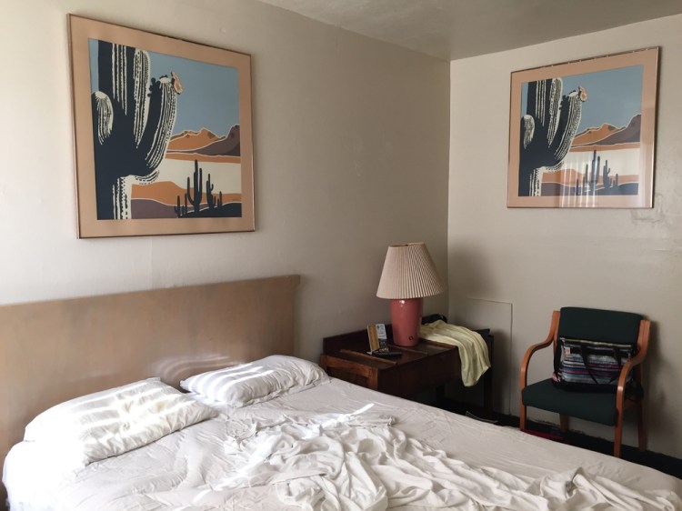 auringonallaIMG_3406