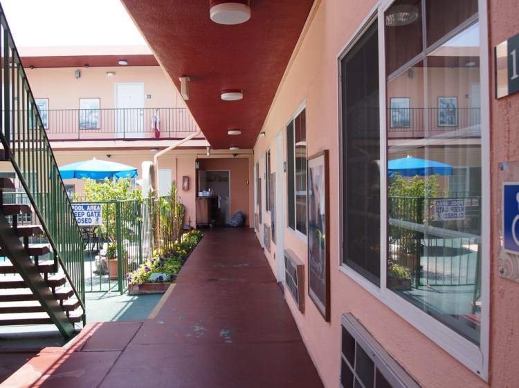 auringonallaP7067171