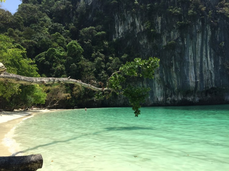 auringonallaIMG_6434