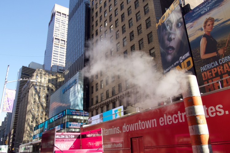 auringonallaPA231606