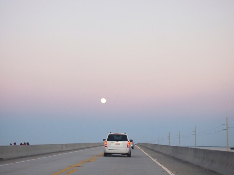 auringonallapc281606