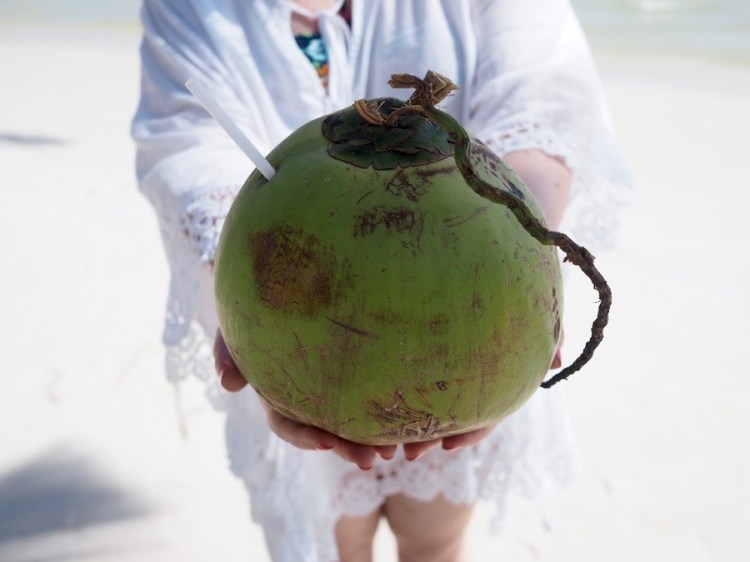 auringonallaP1010162