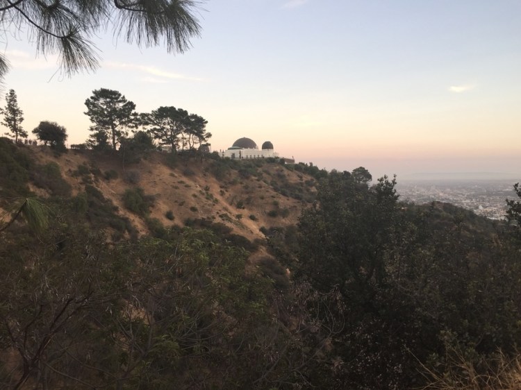 auringonallaIMG_2697