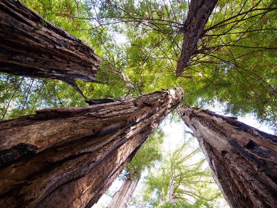 auringonallaPA094436