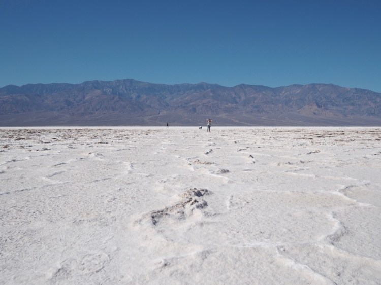 auringonallaPA170242